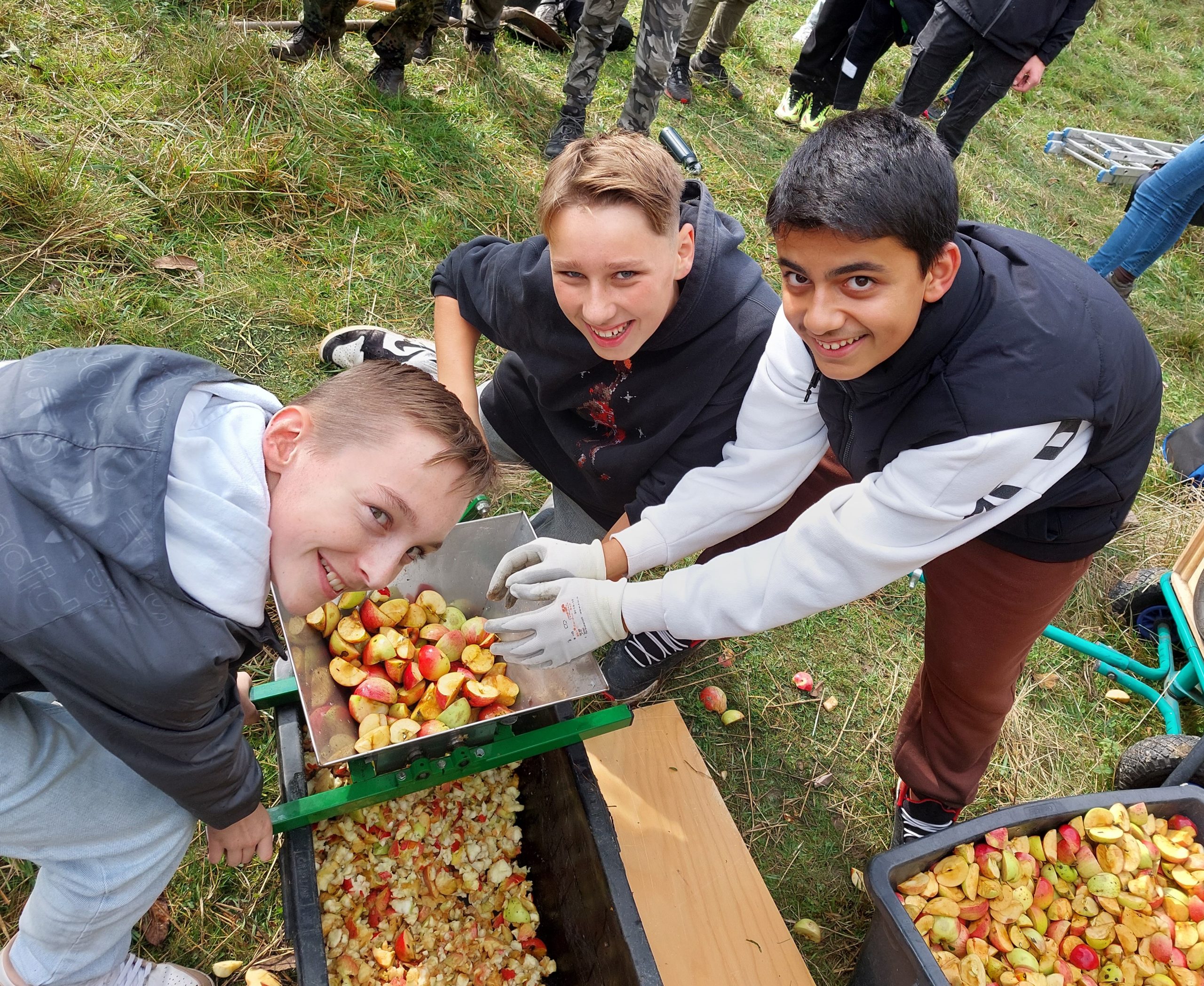 Schüler des BvSG sammeln Äpfel